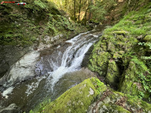 Cascada Cornet 13