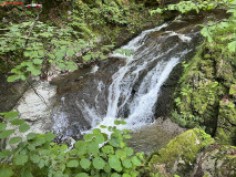 Cascada Cornet 14