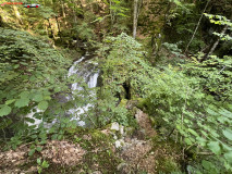 Cascada Cornet 16