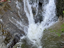 Cascada Cornet 18