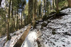 Cascada Duruitoarea 28