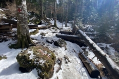 Cascada Duruitoarea 29