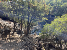 Cascada Fonias, Samothraki, Grecia 49