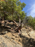 Cascada Fonias, Samothraki, Grecia 53