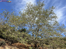 Cascada Gerania, Samothraki, Grecia 02