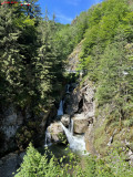 Cascada Iadolina 02