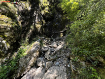 Cascada Iadolina 10