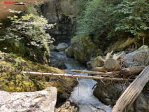 Cascada Iadolina 13