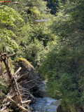 Cascada Iadolina 38