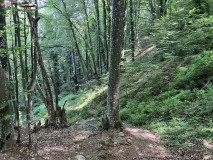 Cascada Kamena Bulgaria 24