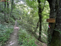 Cascada Kamena Bulgaria 25
