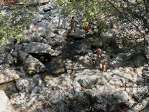 Cascada Kleidosi, Samothraki, Grecia 60