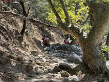 Cascada Kleidosi, Samothraki, Grecia 90