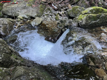Cascada Lazăru 05