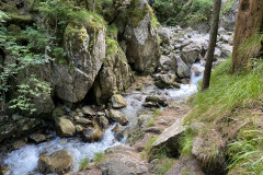 Cascada Lolaia 33