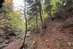 Cascada Pastaia 36