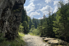 Cascada Șerbota 21