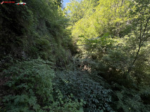 Cascada Siloș 04