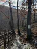 Cascada Skoka din Kaleytsa, Bulgaria 20