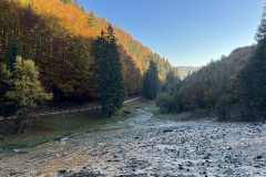 Cascada Urlătoare din Vama Buzaului 10