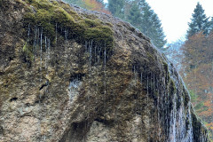 Cascada Urlătoare din Vama Buzaului 18