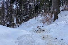 Cascada Urlatoarea Iarna  19