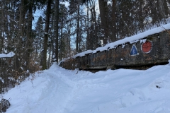 Cascada Urlatoarea Iarna  21