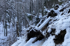 Cascada Urlatoarea Iarna  30