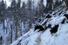 Cascada Urlatoarea Iarna  31