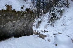 Cascada Urlatoarea Iarna  75