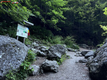 Cascada Urlatoarea iulie 2024 06