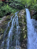 Cascada Urlatoarea iulie 2024 12