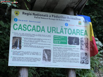 Cascada Urlatoarea iulie 2024 20