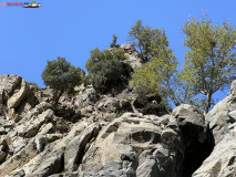 Cascada Xiropotamos, Samothraki, Grecia 38