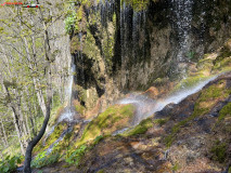 Cascadele de travertin de la Șipote mai 2023 03