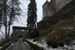 Castelul Bled, Slovenia 60