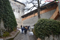 Castelul Bled, Slovenia 84