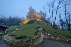 Castelul Bran 230