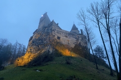 Castelul Bran 231