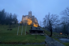 Castelul Bran 233