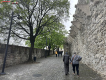 Castelul Bratislava aprilie 2023 236