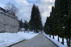 Castelul Cantacuzino 10