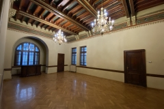 Castelul Cantacuzino 115