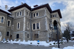 Castelul Cantacuzino 16