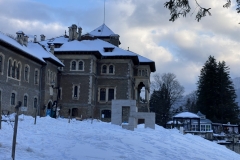 Castelul Cantacuzino 39