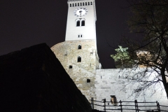 Castelul Ljubljana Slovenia 18