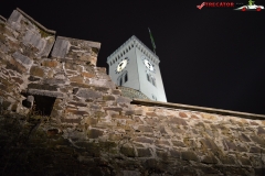 Castelul Ljubljana Slovenia 23