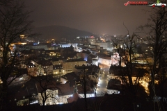 Castelul Ljubljana Slovenia 24