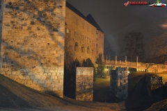 Castelul Ljubljana Slovenia 34