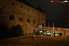 Castelul Ljubljana Slovenia 36